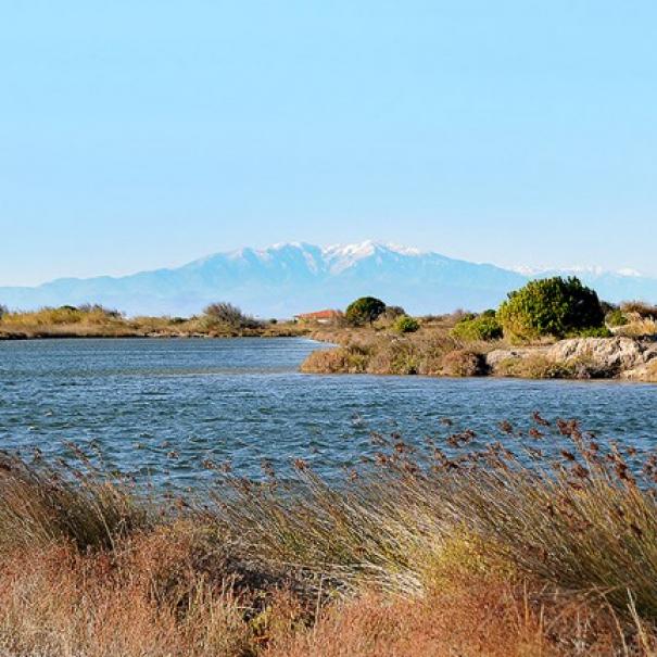 Site des Dosses, Le Barcarès Site des Dosses, Le Barcarès