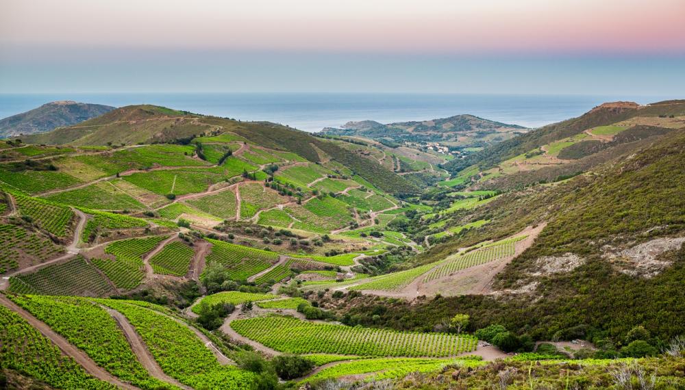 Terroir des Pyrénées-Orientales Terroir des Pyrénées-Orientales
