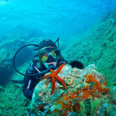Plongée sous-marine Plongée sous-marine
