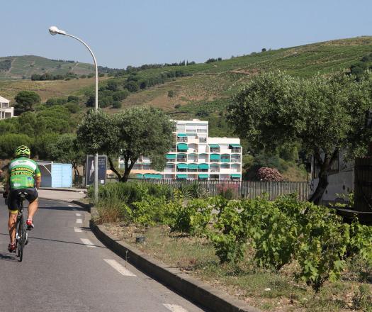 Cyclosportif route des cols - Banuyls Cyclosportif route des cols - Banyuls