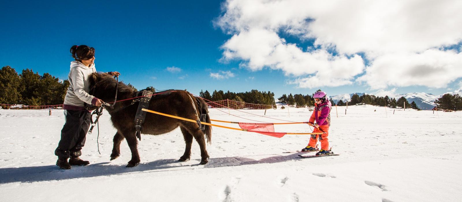 skijoring skijoring