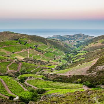 Terroir des Pyrénées-Orientales