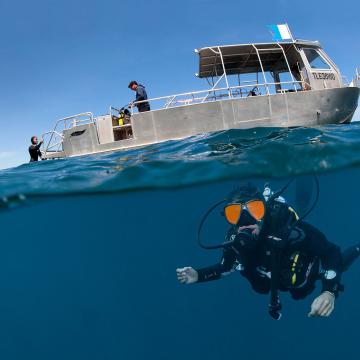 Plongée sous-marine